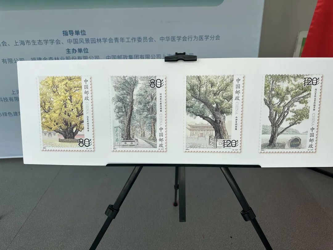 全國(guó)生態(tài)日來(lái)了！福建金森攜手舉辦上海“山海同普·杏好有你”活動(dòng)